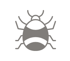 Borreliose bekämpfen