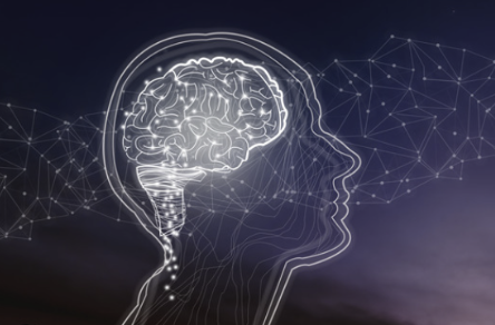 Gedächtnisverbesserung durch Rosmarin, Rosmarinsalbe